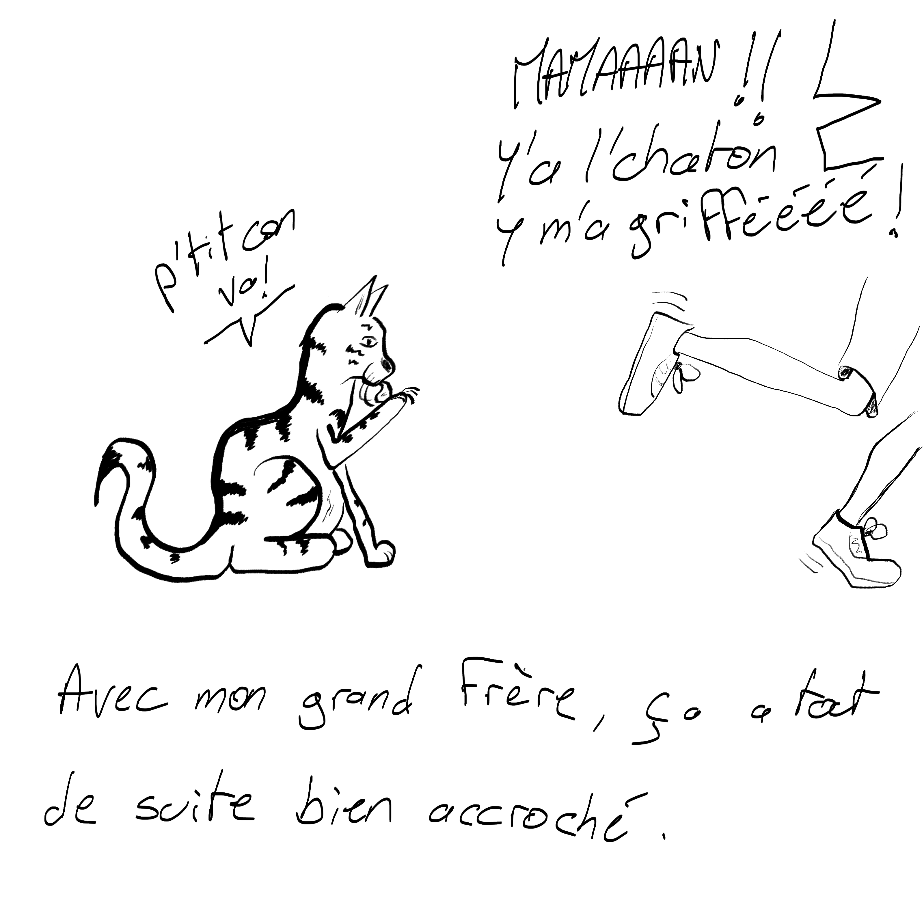 BD 7